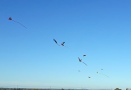 Drakiada-2019-34.jpg