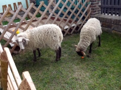 13.4.2018 - Jarní setkání