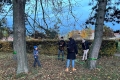 Halloween-web-3