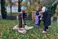 Halloween-web-8