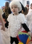 Karneval-23-2017.jpg